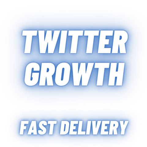 REAL TWITTER GROWTH 24HR DELIVERY