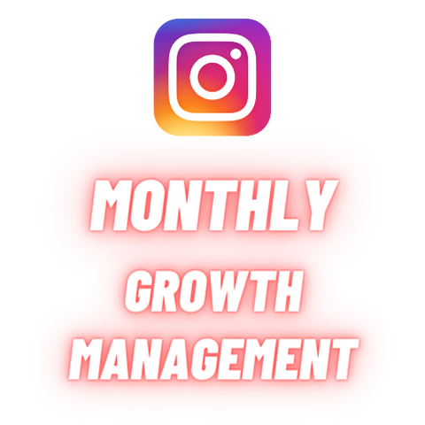 Instagram Monthly Management